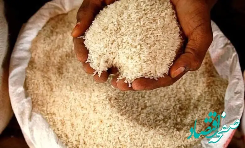 آغاز واردات برنج | منتظر کاهش قیمت باشیم؟