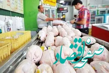 آخرین قیمت فیله مرغ امروز ۲۲ بهمن ۱۴۰۲ در بازار + قیمت گوشت چرخ کرده و جدول