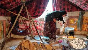 ساماندهی صندوق‌های اعتبارات خرد زنان روستایی و عشایری در دستور کار
