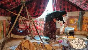 ساماندهی صندوق‌های اعتبارات خرد زنان روستایی و عشایری در دستور کار
