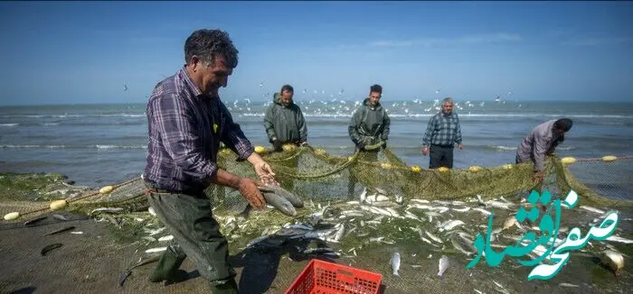 پیش بینی وضعیت آب و هوا مازندران فردا یکشنبه ۲۷ آبان ماه ۱۴۰۳ + مازندرانی های این خبر را حتما بخوانید
