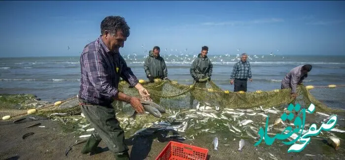 پیش بینی وضعیت آب و هوا مازندران فردا یکشنبه ۲۷ آبان ماه ۱۴۰۳ + مازندرانی های این خبر را حتما بخوانید