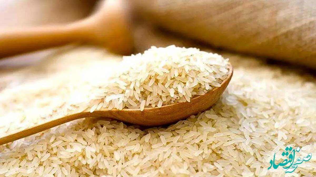 برنج ایرانی گران شد!/بازار برنج از کنترل خارج شد