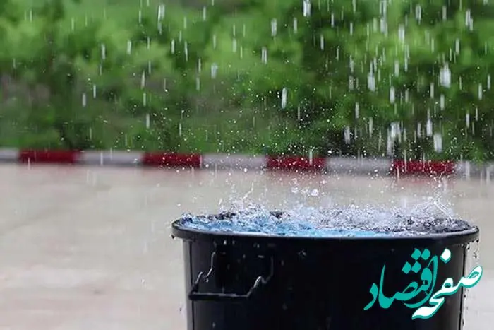 زمان جمع آوری آب نیسان در سال ۱۴۰۴ + آداب جمع آوری‌ و خواص خوردن آب نیسان