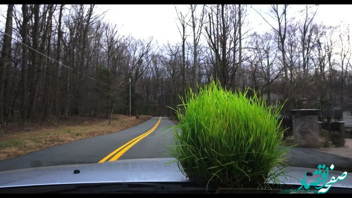 امسال عید نوروز بدون داشتن این برگه مهم، از خانه خارج نشوید!