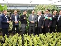 ره‌آورد سفر به «مازندران» دیار سبز علویان
