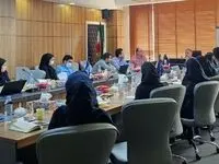  برگزاری دوره ممیزی داخلی (ISO 9001:2015) در شرکت بیمه حافظ