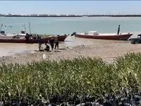  مشارکت پتروشیمی شیمی بافت در حراکاری خوریات بندر ماهشهر