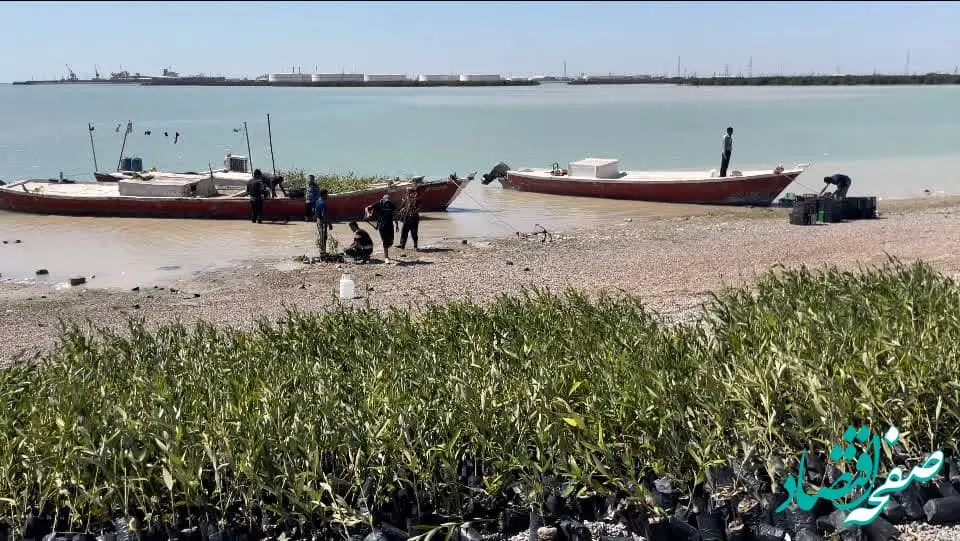  مشارکت پتروشیمی شیمی بافت در حراکاری خوریات بندر ماهشهر