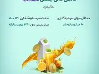 آغاز پویش تامین مالی جمعی شرکت «عالیفرد» از بستر سکوی آی بی کراد