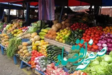 خوراکی‌های ضد استرس را بشناسید | رازهایی برای کنترل اضطراب در زمستان
