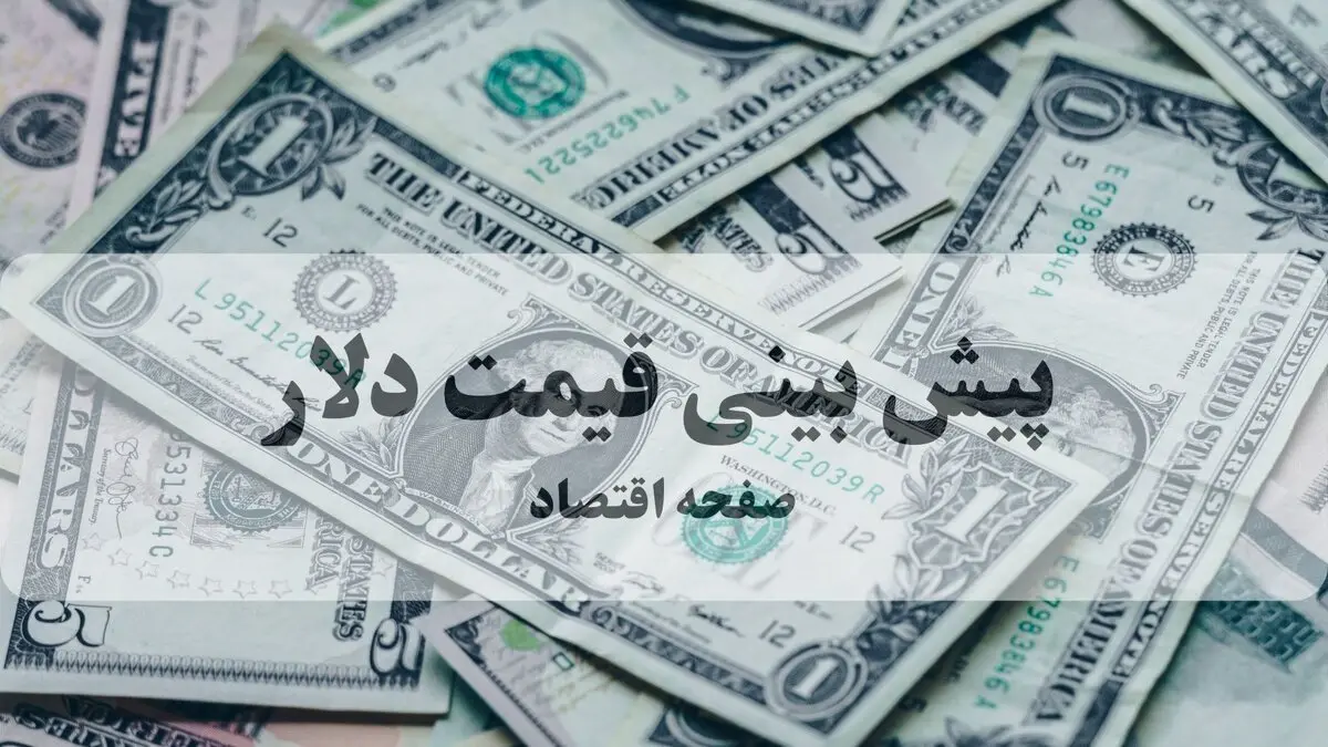 پیش بینی قیمت دلار فردا دوشنبه ۱۲ مرداد ۱۴۰۵؛ دلار فردا ارزان تر می شود؟ 