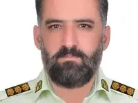 علت شهادت سرهنگ محمد صانعی در شهرستان فردوس چه بود؟ 