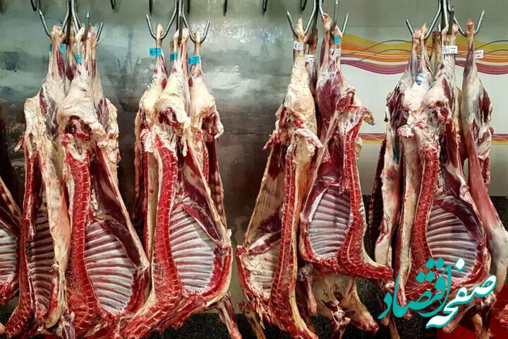 از تولید ۷۲ هزار تن گوشت قرمز در این استان تا فعالیت ۳۳ کشتارگاه برای تأمین امنیت غذایی