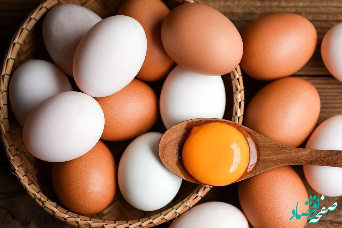 جدول قیمت تخم‌ مرغ امروز ۱ شهریور ۱۴۰۴ / قیمت شانه تخم مرغ محلی چند؟ + جدول
