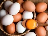 جدول قیمت تخم‌ مرغ امروز ۱ شهریور ۱۴۰۴ / قیمت شانه تخم مرغ محلی چند؟ + جدول