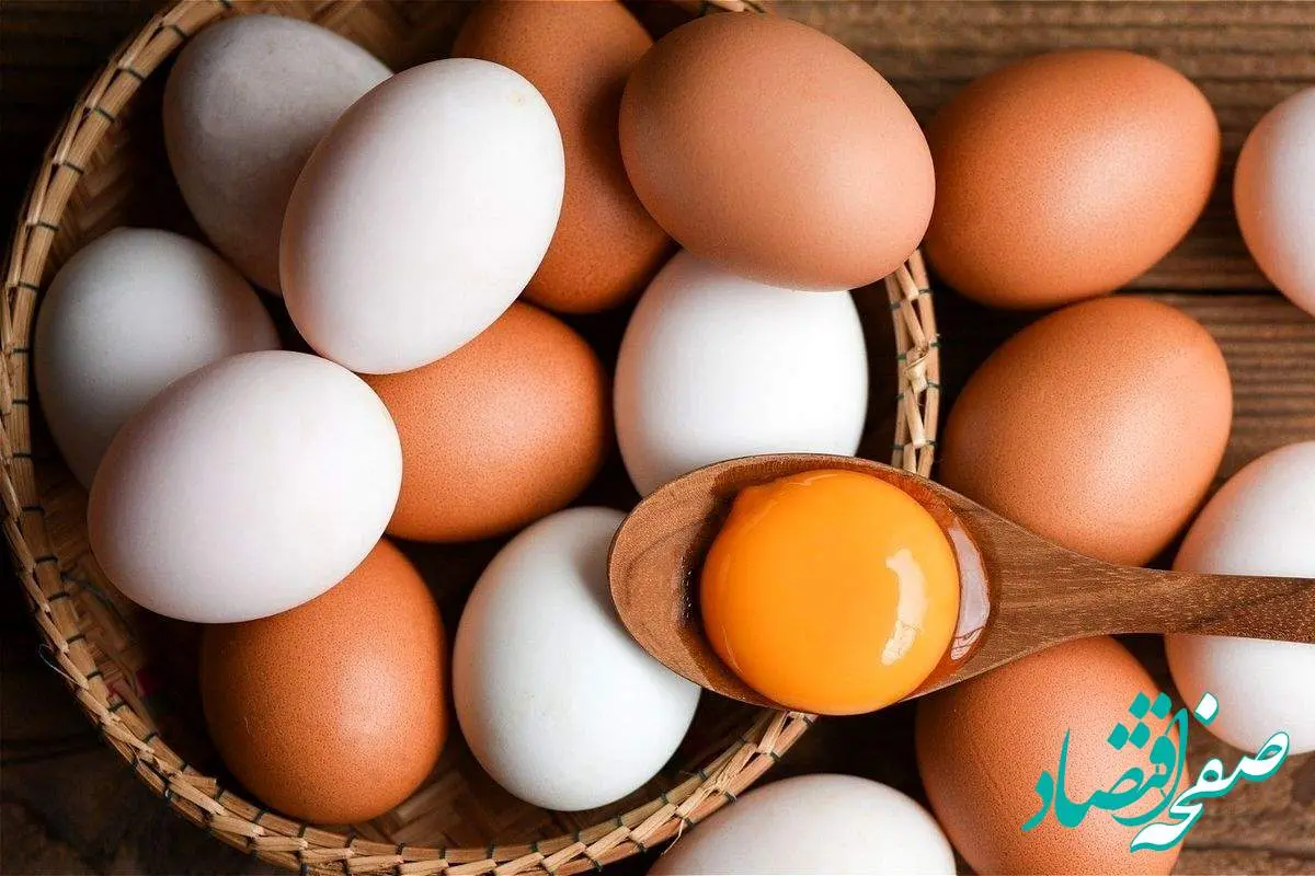 جدول قیمت تخم مرغ امروز ۱ شهریور ۱۴۰۴ / قیمت شانه تخم مرغ محلی چند؟ + جدول