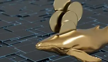  بازار دیجیتال در نقطه عطفی قرار دارد/ چشم‌انداز کریپتو در تقاطع بی‌اعتمادی و فرصت