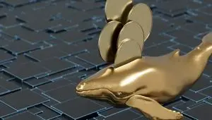 خبر مهم برای معامله‌گران بازار کریپتو/ این ۳ ارز دیجیتال آماده جهش