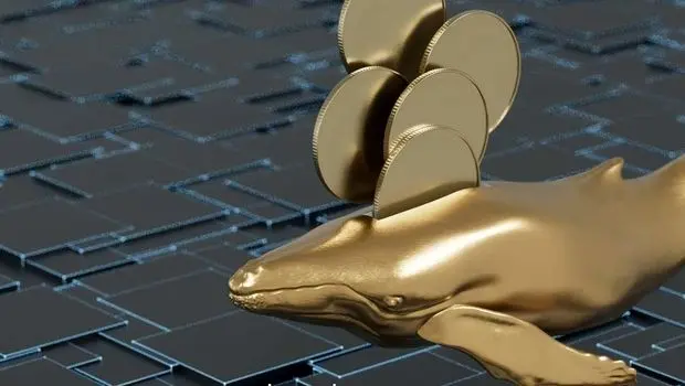  بازار دیجیتال در نقطه عطفی قرار دارد/ چشم‌انداز کریپتو در تقاطع بی‌اعتمادی و فرصت