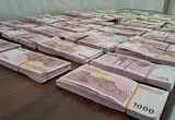 بانک مرکزی فقط با یک‌‎پنجم درخواست پول بانک‌ها موافقت کرد