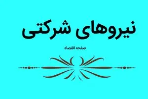 آخرین خبر از طرح ساماندهی استخدام کارکنان دولت امروز شنبه ۱۲ آبان ماه ۱۴۰۳ | جزئیات روند بررسی طرح ساماندهی نیروهای شرکتی اعلام شد