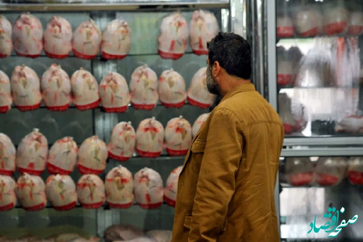 خبر خوش برای خانوارها/کاهش ۱۰ هزار تومانی قیمت مرغ