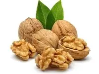 گردو پوست کاغذی