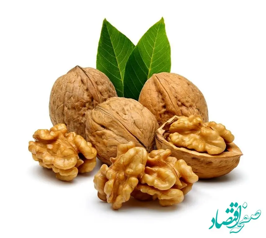 گردو پوست کاغذی