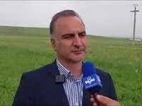 آخرین خبر از خرید تضمینی و پرداخت مطالبات گندمکاران امروز ۲۴ اردیبهشت ۱۴۰۴