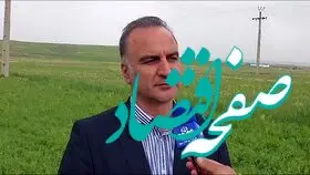 آخرین خبر از خرید تضمینی و پرداخت مطالبات گندمکاران امروز ۲۴ اردیبهشت ۱۴۰۴