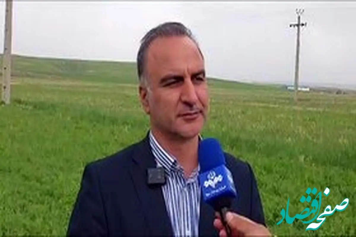 آخرین خبر از خرید تضمینی و پرداخت مطالبات گندمکاران امروز ۲۴ اردیبهشت ۱۴۰۴