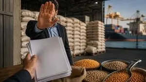 هشدار عضو کمیسیون کشاورزی مجلس درباره مانع‌تراشی در پرونده نهاده‌های دامی/ مطالبه شفافیت در بازار میلیارد دلاری ارز