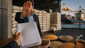 هشدار عضو کمیسیون کشاورزی مجلس درباره مانع‌تراشی در پرونده نهاده‌های دامی/ مطالبه شفافیت در بازار میلیارد دلاری ارز