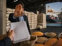هشدار عضو کمیسیون کشاورزی مجلس درباره مانع‌تراشی در پرونده نهاده‌های دامی/ مطالبه شفافیت در بازار میلیارد دلاری ارز