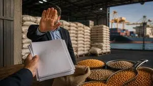 هشدار عضو کمیسیون کشاورزی مجلس درباره مانع‌تراشی در پرونده نهاده‌های دامی/ مطالبه شفافیت در بازار میلیارد دلاری ارز