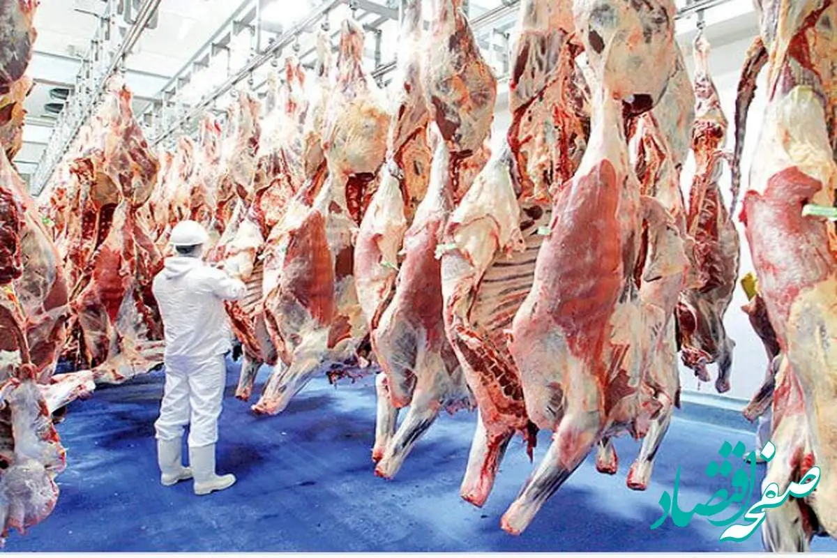 قیمت جدید گوشت امروز ۲۸ اسفند ماه ۱۴۰۲ + خبر مهم دولت درباره قیمت گوشت در بهار ۱۴۰۳