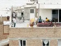 شوک ۱۵ میلیونی: قیمت یک متر زمین برای تو، قیمت ۱۵ هکتار برای «آنها»!