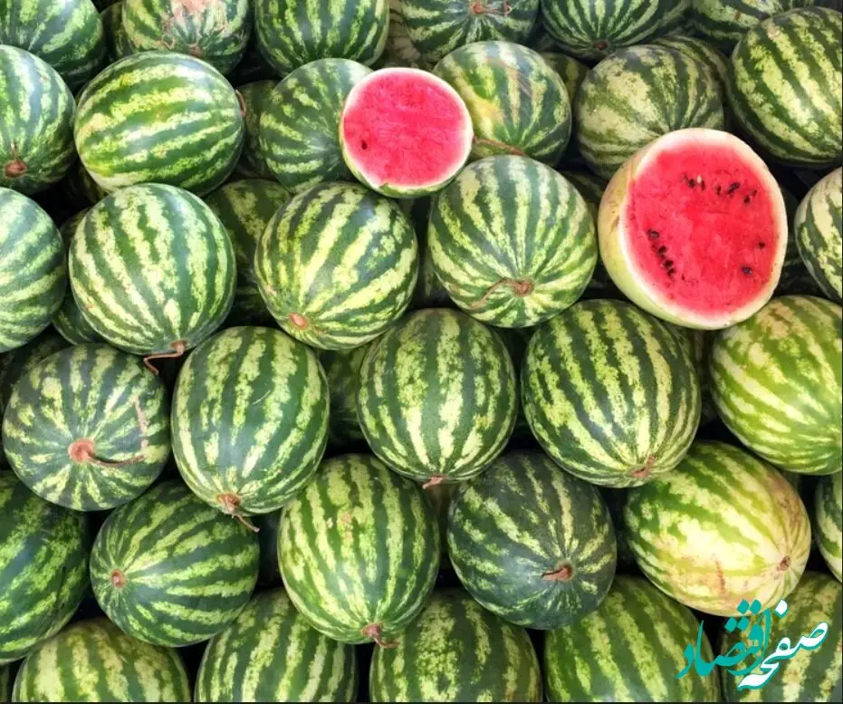 چگونه هندوانه شیرین و آبدار و خوشرنگ انتخاب کنیم؟