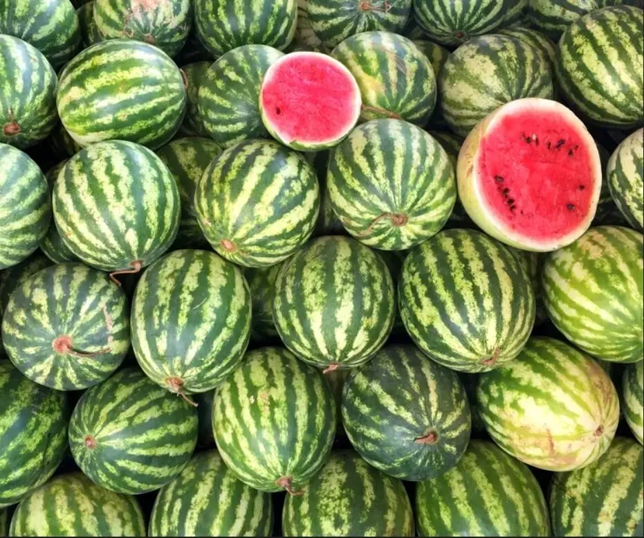 چگونه هندوانه شیرین و آبدار و خوشرنگ انتخاب کنیم؟