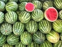 چگونه هندوانه شیرین و آبدار و خوشرنگ انتخاب کنیم؟