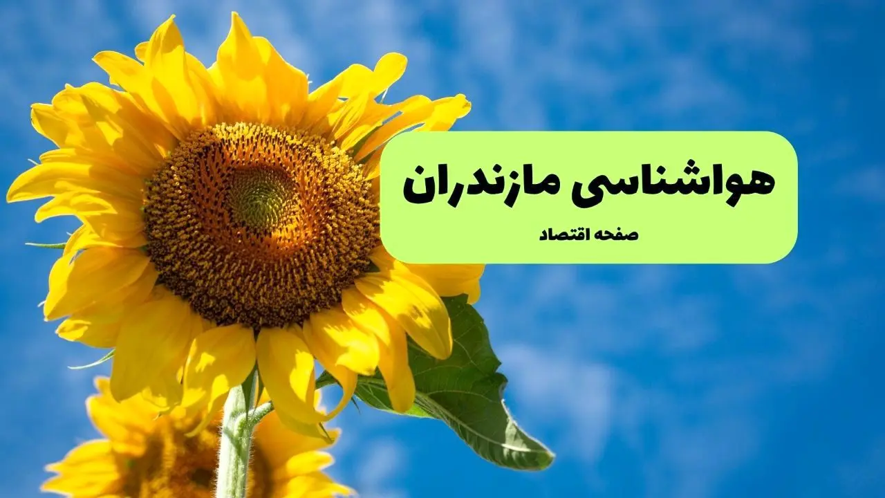 هواشناسی مازندران یکشنبه | پیش بینی آب و هوا مازندران فردا یکشنبه ۱۹ مرداد ۱۴۰۴ + هواشناسی ساری