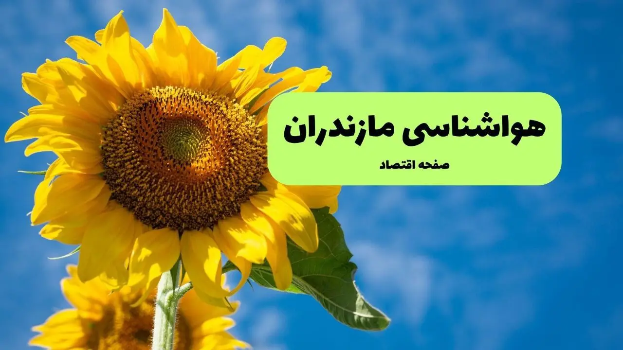 پیش بینی وضعیت آب و هوا مازندران فردا پنجشنبه ۷ اسفند ۱۴۰۴ + هواشناسی ساری فردا + وضعیت هوای فردا ساری