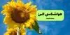 پیش بینی وضعیت آب و هوا البرز فردا دوشنبه ۹ شهریور 