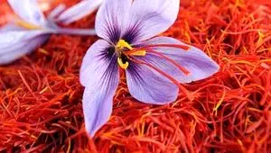 معامله ۲۶۷ کیلوگرم زعفران در بازار آتی بورس کالا