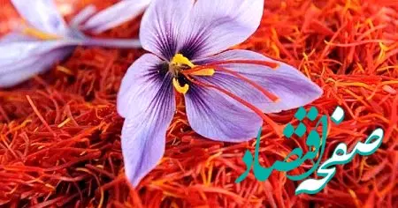 معامله ۲۶۷ کیلوگرم زعفران در بازار آتی بورس کالا