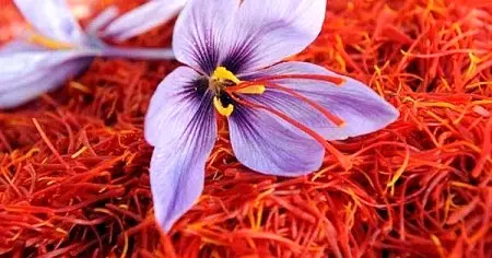 معامله ۲۶۷ کیلوگرم زعفران در بازار آتی بورس کالا