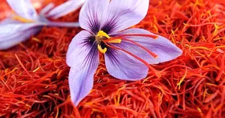 معامله ۲۶۷ کیلوگرم زعفران در بازار آتی بورس کالا