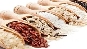 معرفی انواع برنج موجود در بازار ایران: برنج ایرانی و خارجی 