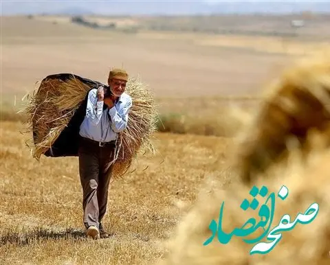 آخرین خبر از مطالبات گندمکاران امروز ۱۳ خرداد ۱۴۰۳